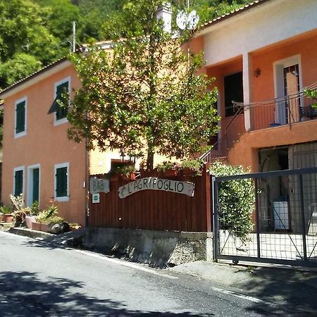 Casa Vacanze L'Agrifoglio Bed and Breakfast Magliolo Exterior foto
